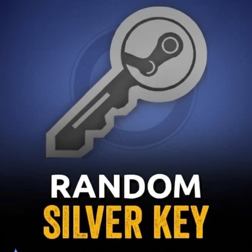  STEAM SİLVER RANDOM KEY